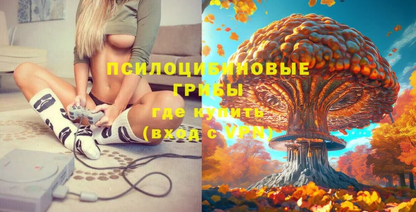 метадон Лабытнанги