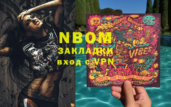 индика Кукмор