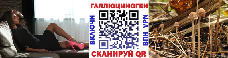 Псилоцибиновые грибы мухоморы  Купить  Тутаев 